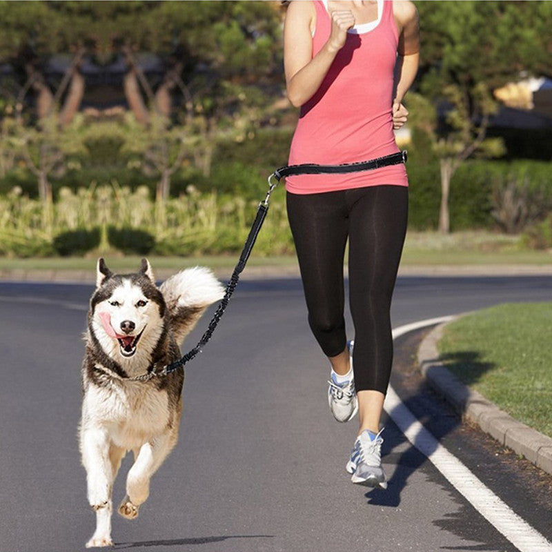 Discover the Ultimate Adjustable Pet Harness Collar Jogging Leash