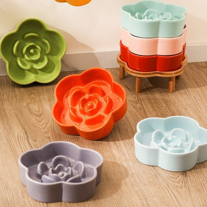Why Your Pet Needs the Ceramic Pet Slow Feeding Bowl