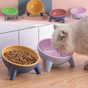 Why Your Pet Deserves the Best: The Pet Feeding Bowl With Stand Nordic Style Set
