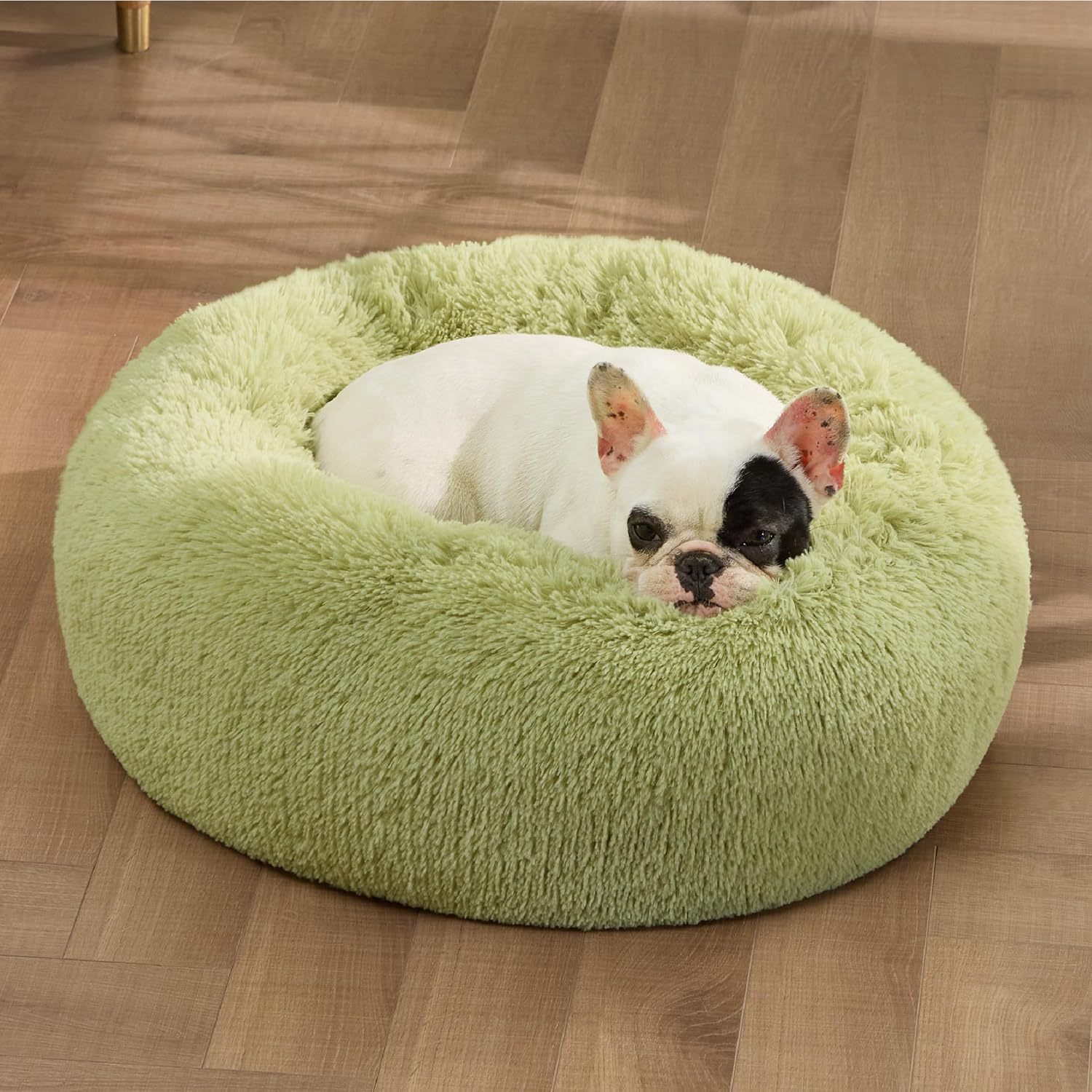 The Ultimate Comfort: Indoor Solid Color Non Slip Round Plush Pet Bed