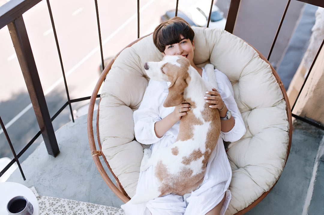 Cozy and Relaxing Pet Beds