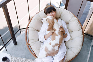 Cozy and Relaxing Pet Beds
